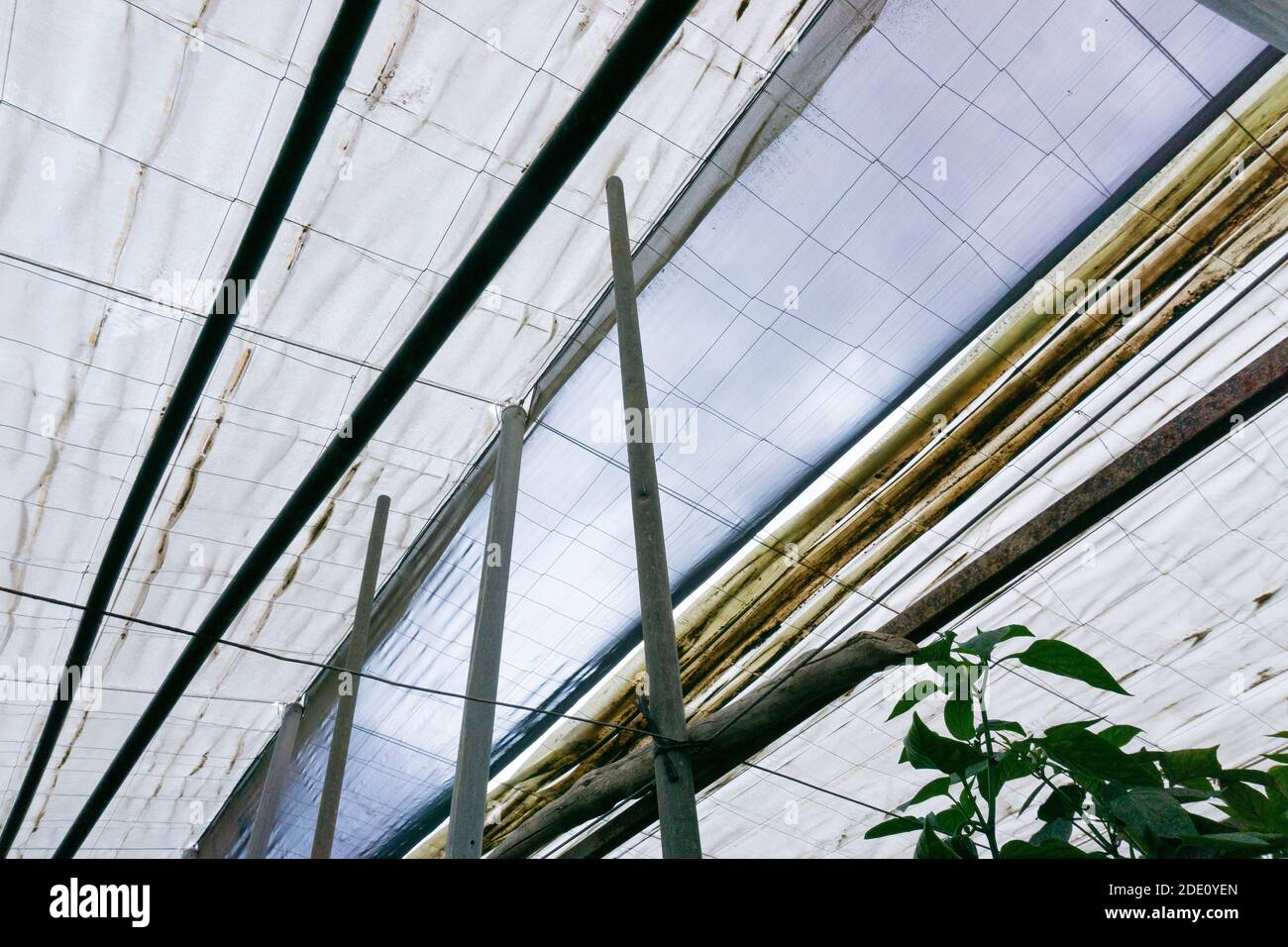 greenhouse roof and opening Stock Photo Alamy
