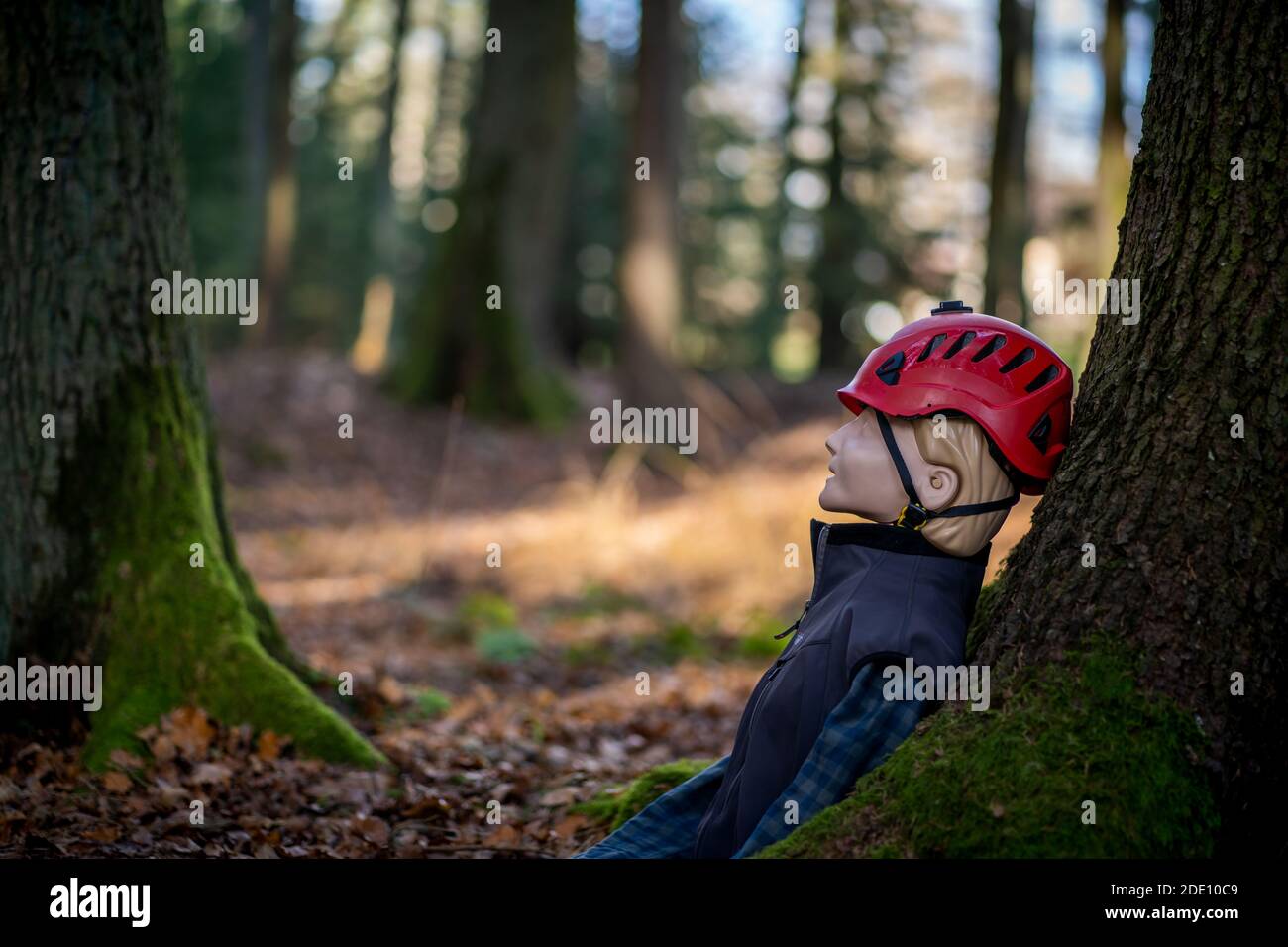 Single resuscitation dummy in the forest Stock Photo