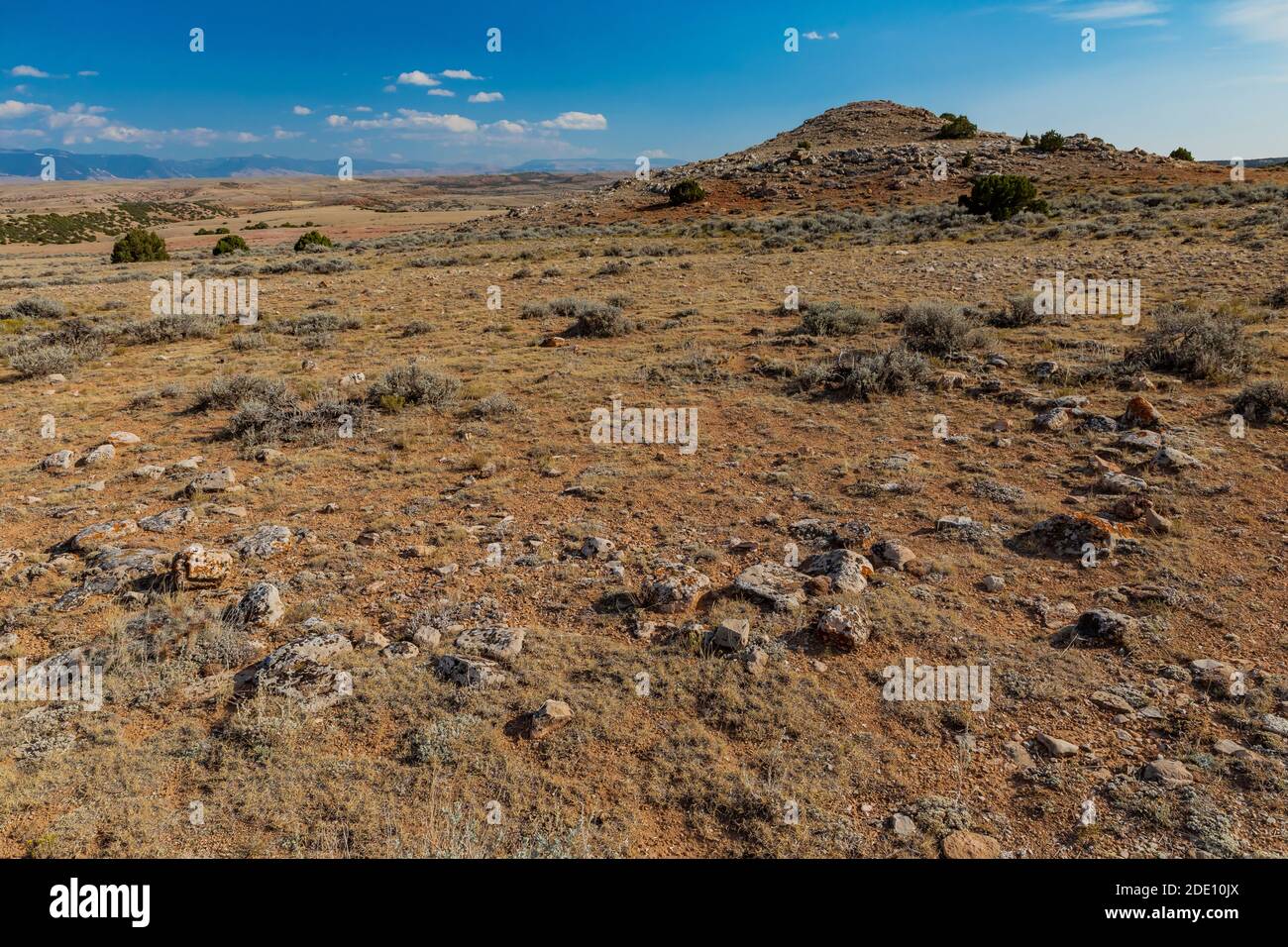 Ancient tipi rings from ancestors of the Crow and Shoshone Indians along Two Eagles Interpretive Trail in Bighorn Canyon National Recreation Area, nea Stock Photo