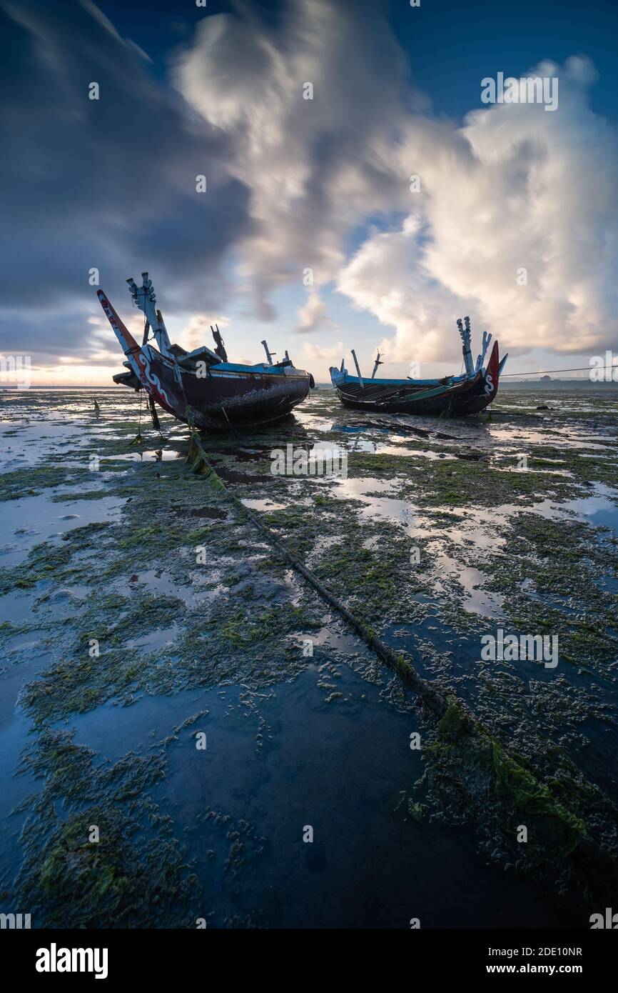 A vertical shot of two boats on a shore with the cloudy sky in ...