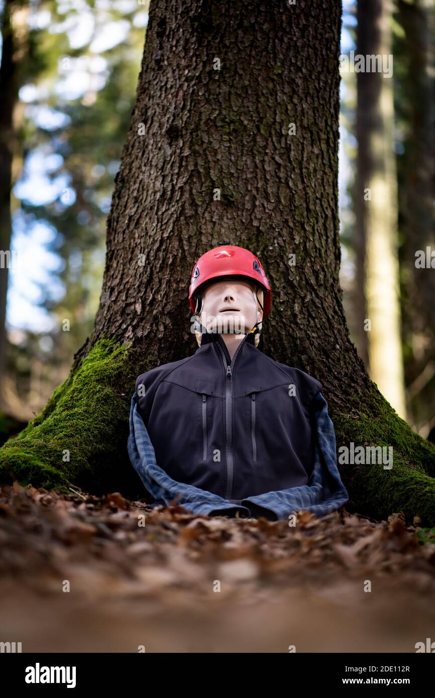 Single resuscitation dummy in the forest Stock Photo