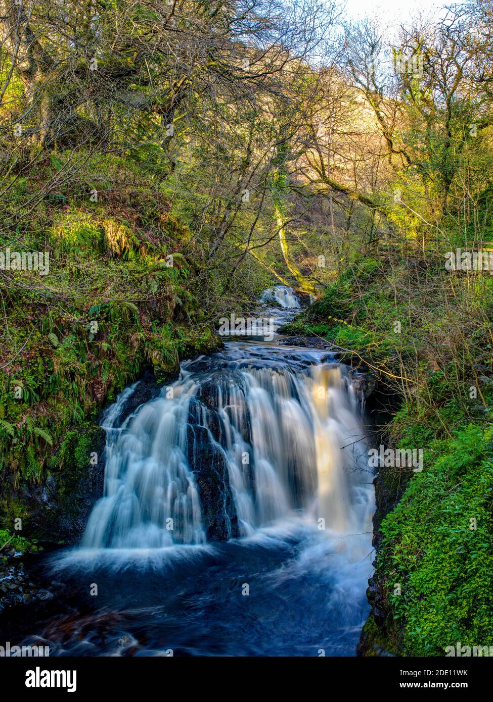 waterfall on Glenariff river, Glenariff Forest Park , Moyle, County Antrim, Northern Ireland, Stock Photo