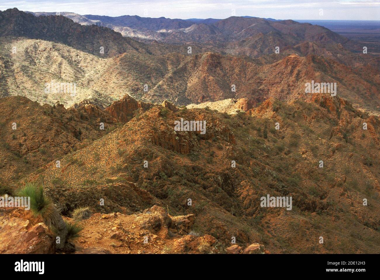 Freeling Heights, seen from Sillers Lookout in the Arkaroola Sanctuary, northern Flinders Ranges, South Australia.  These are amongst the oldest rocks on the planet. Stock Photo