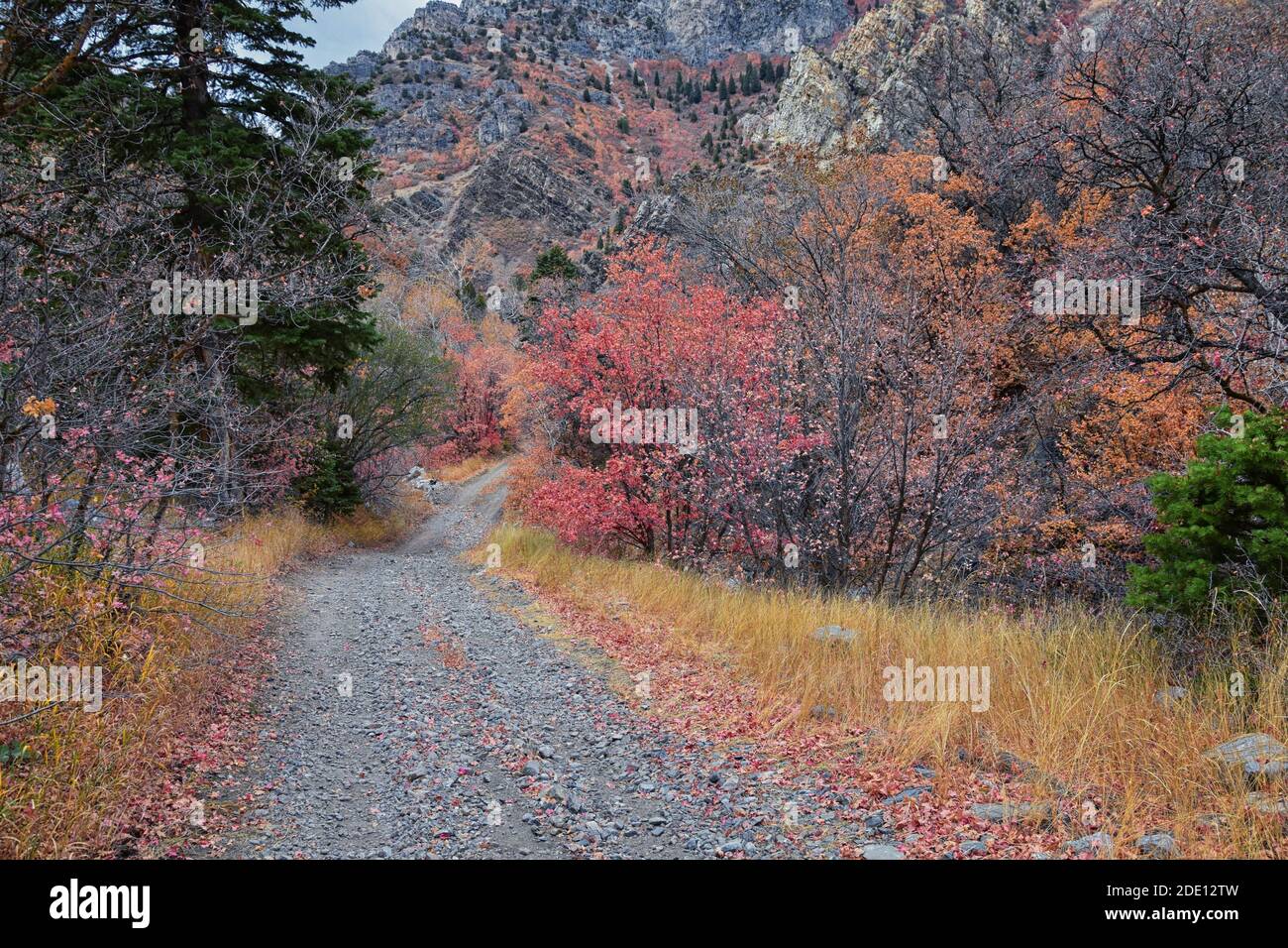 Slate Canyon hiking trail fall leaves mountain landscape view, around Slide Canyon, Rock Canyon and Provo, Wasatch Rocky mountain Range, Utah, United Stock Photo