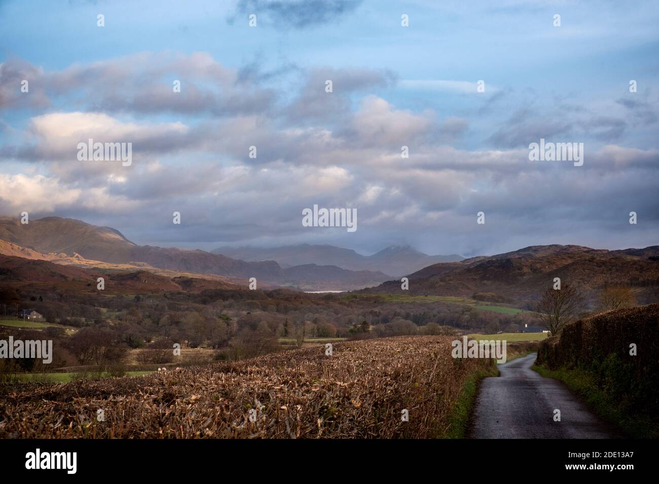 Coniston Water just visible from Wood Gate near Lowick. Stock Photo