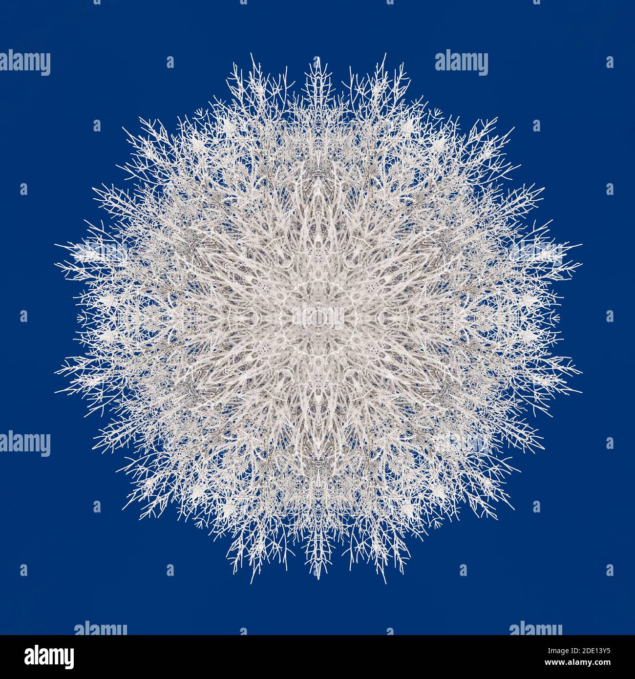 Kaleidoscope effect of frosted branches on a blue sky makes it look like a big snowflake Stock Photo