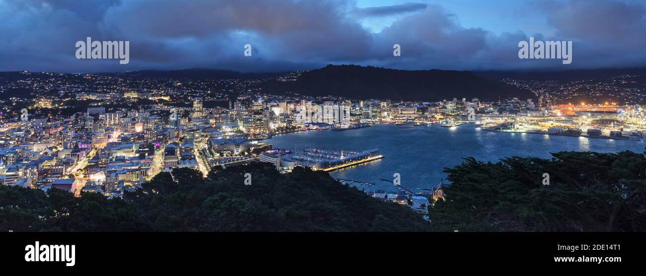 View from Mount Victoria to Wellington skyline, Wellington, North Island, New Zealand, Pacific Stock Photo