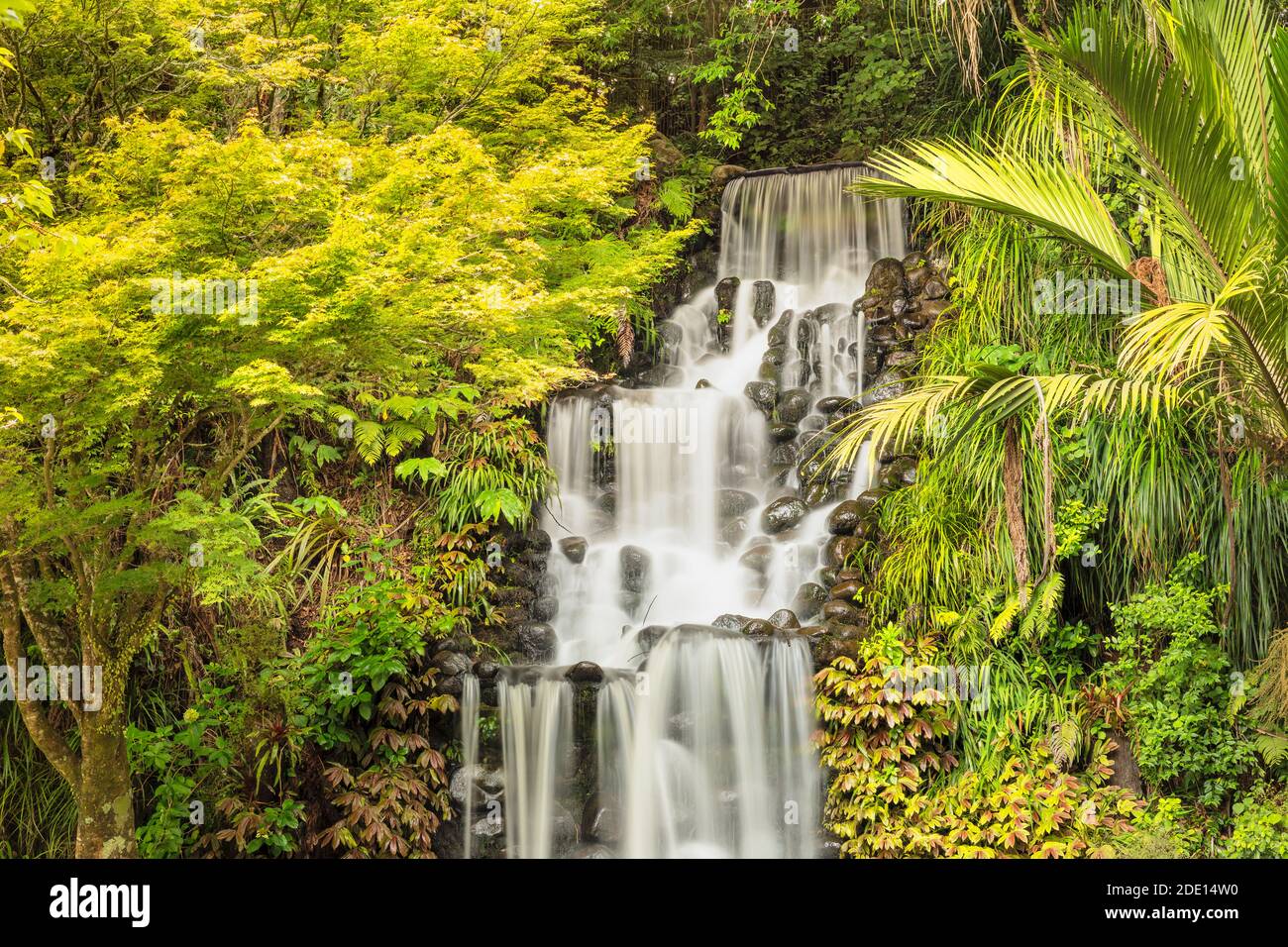 Waterfall in Pukekura Park, botanical garden, New Plymouth, Taranaki, North Island, New Zealand, Pacific Stock Photo