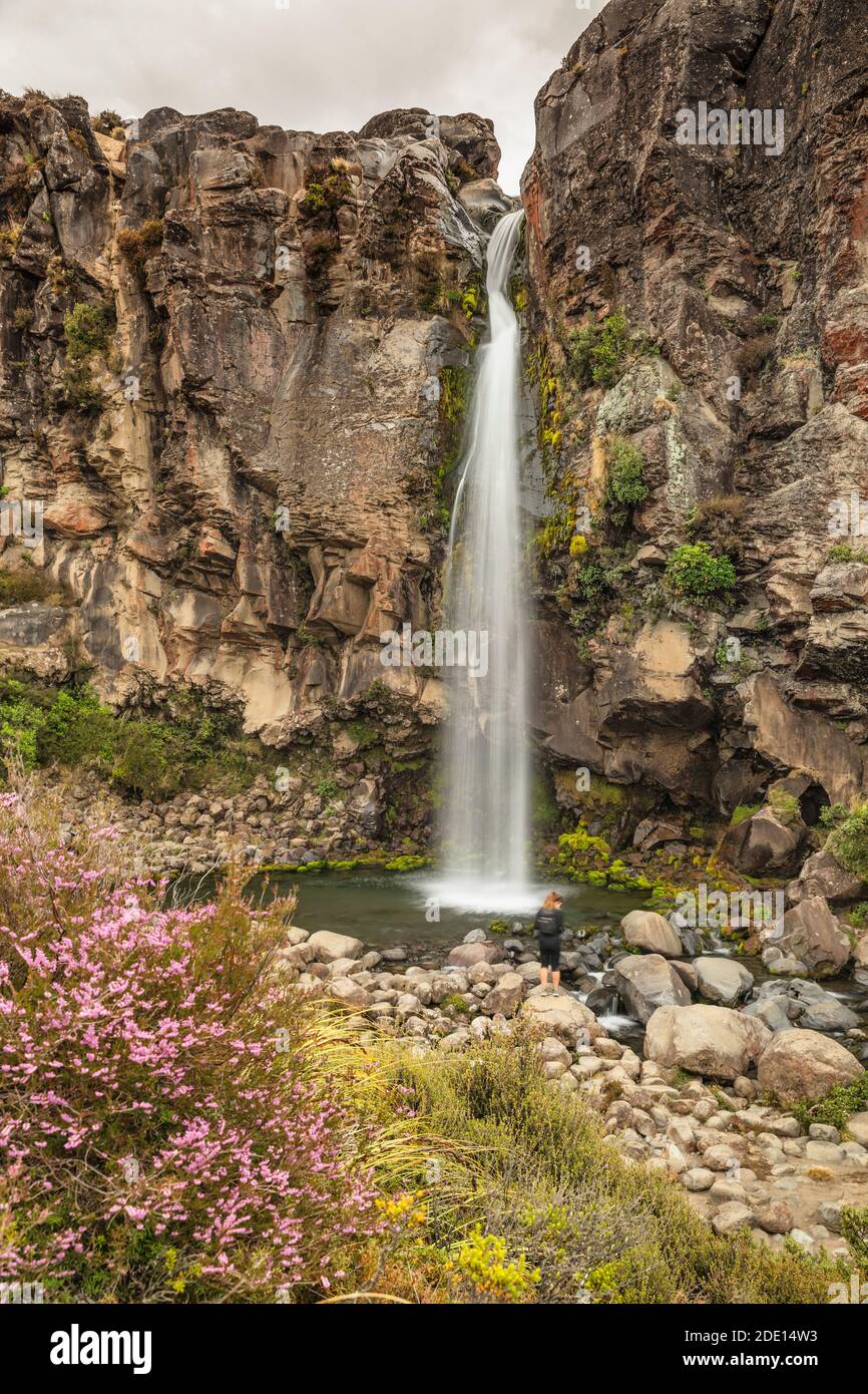 Taranaki Falls, Tongariro National Park, UNESCO World Heritage Site, North Island, New Zealand, Pacific Stock Photo