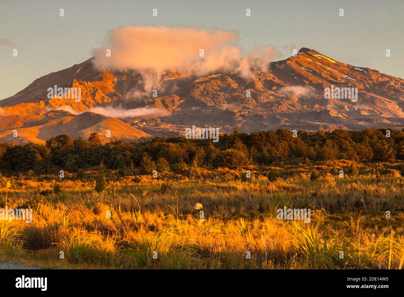 Mount Ruapehu at sunset, Tongariro National Park, UNESCO World Heritage