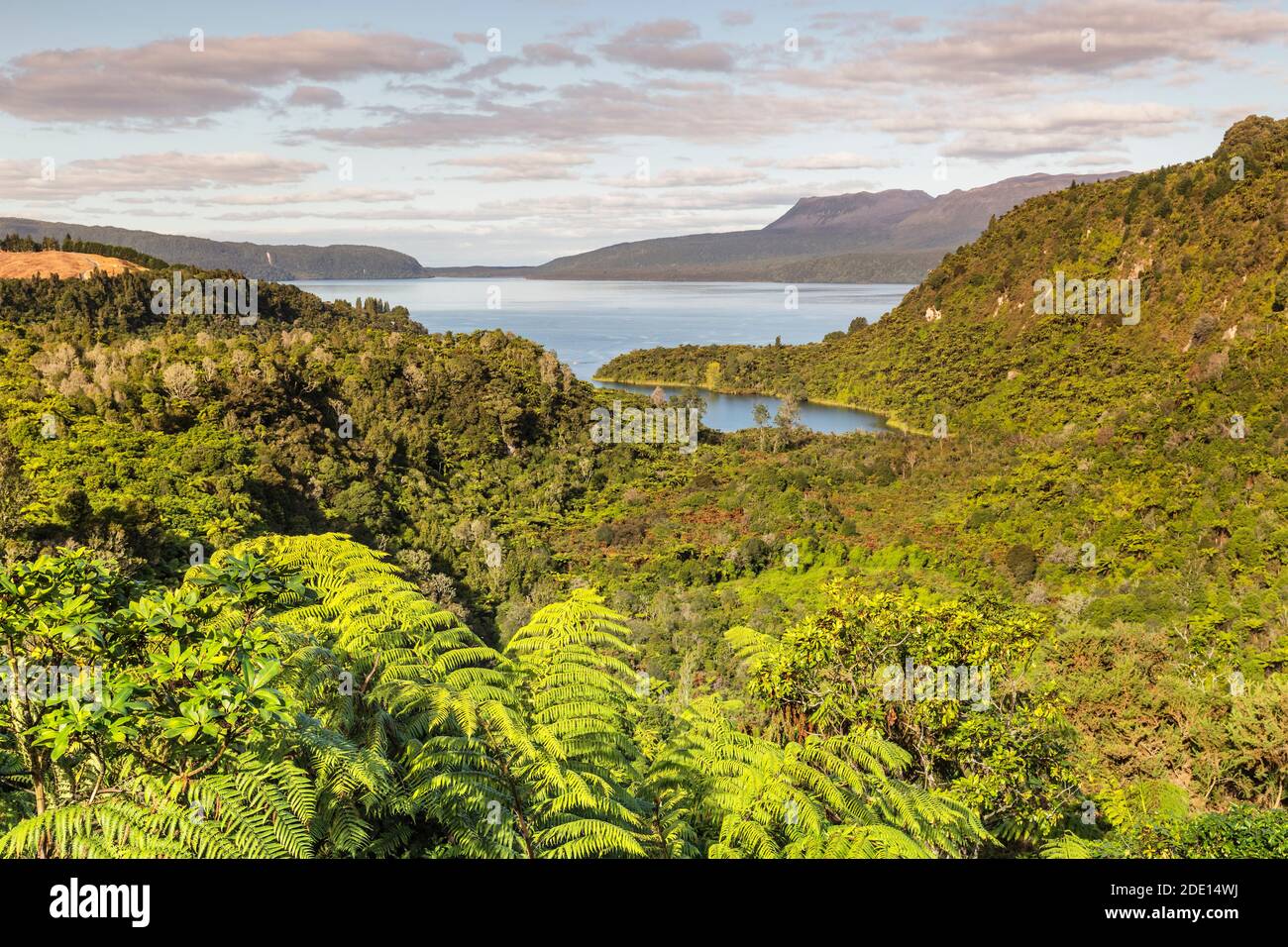 Lake Tarawera, Rotorua, North Island, New Zealand, Pacific Stock Photo