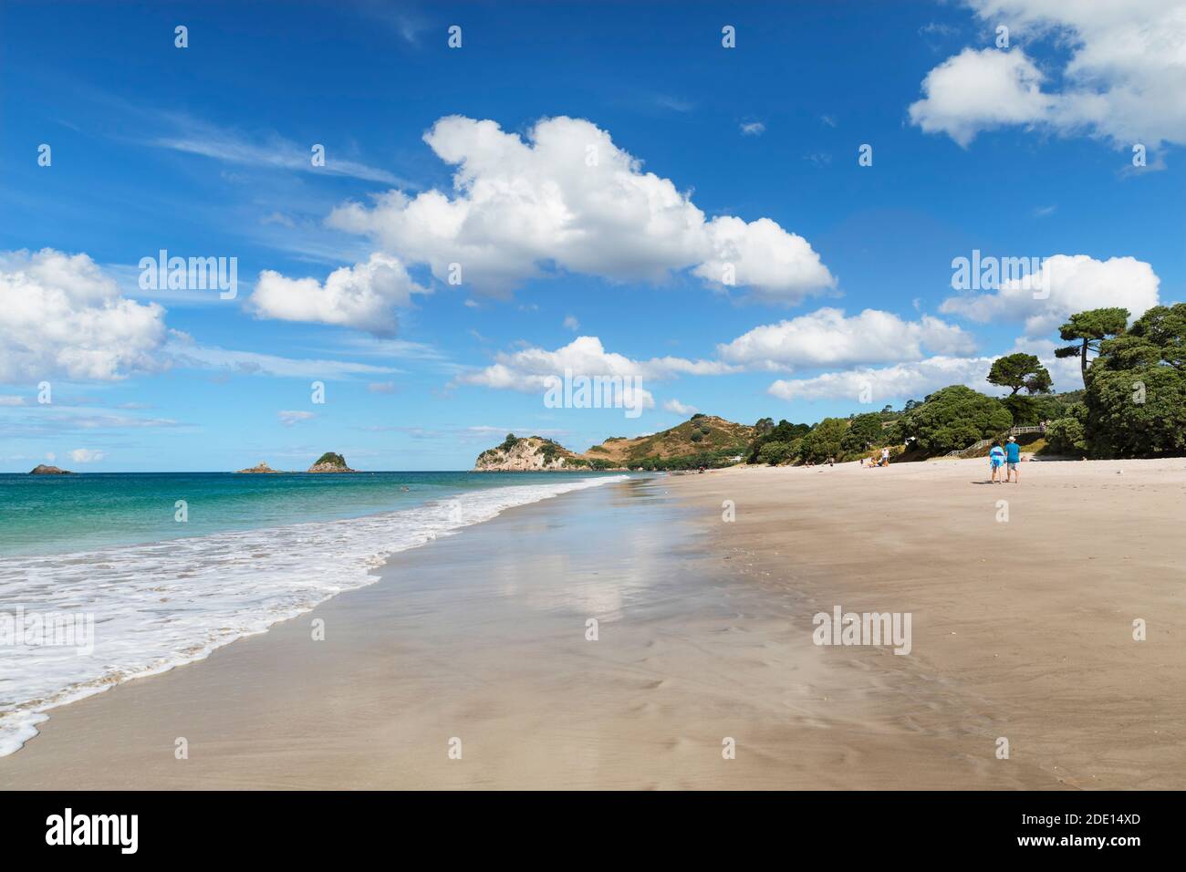 Hahei Beach, Coromandel Peninsula, Waikato, North Island, New Zealand, Pacific Stock Photo