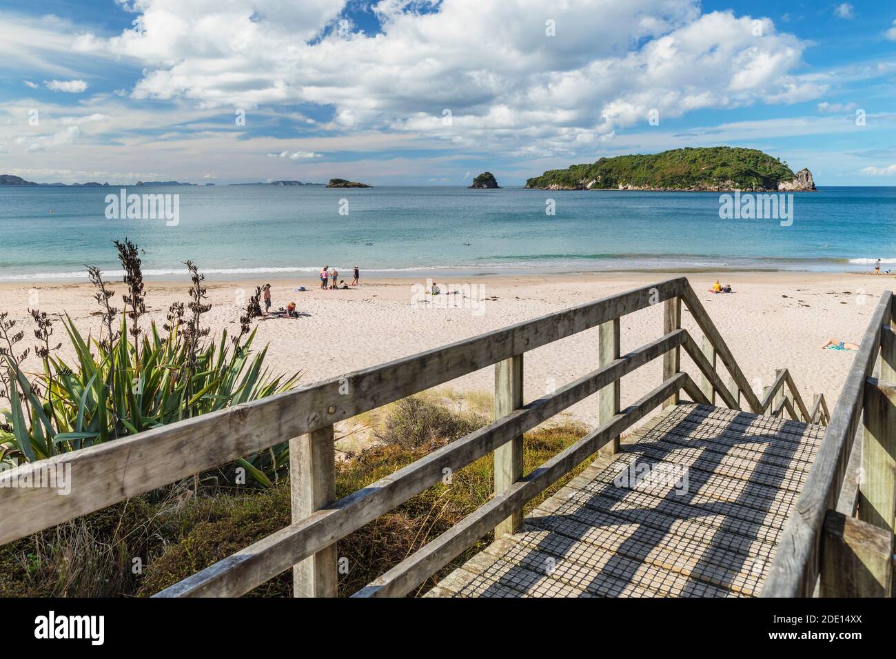 Hahei Beach, Coromandel Peninsula, Waikato, North Island, New Zealand, Pacific Stock Photo