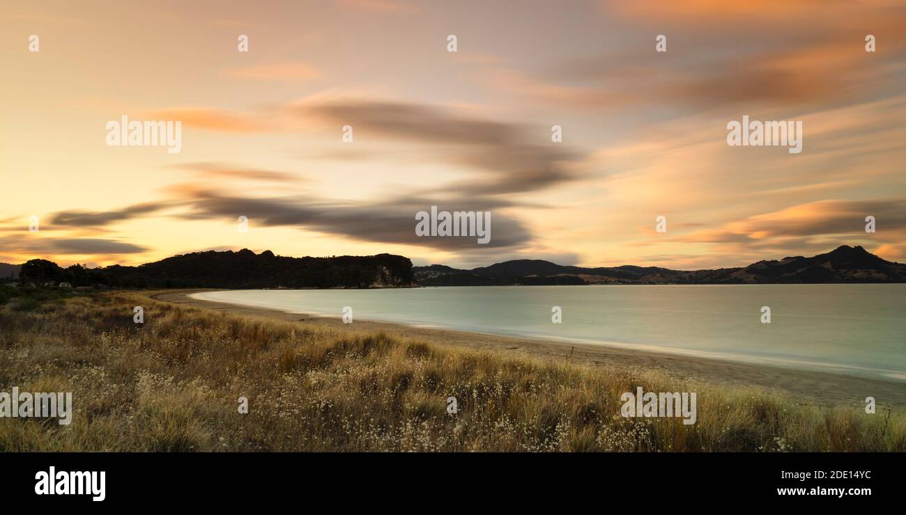 Cooks Beach at sunset, Coromandel Peninsula, Waikato, North Island, New Zealand, Pacific Stock Photo
