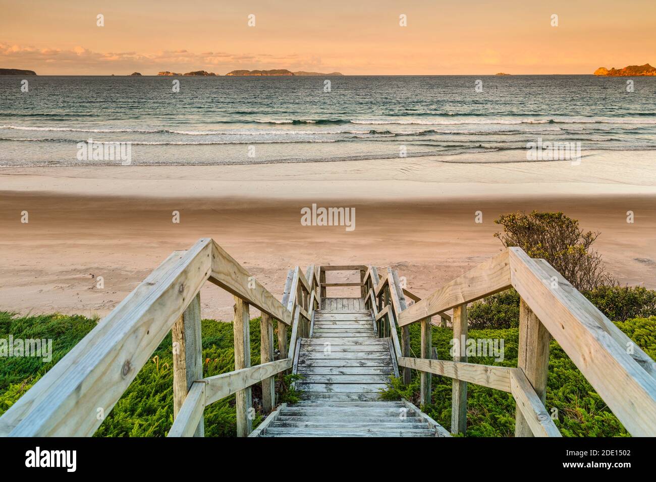 Opito Beach, near Whitianga Village, Coromandel Peninsula, Waikato, North Island, New Zealand, Pacific Stock Photo