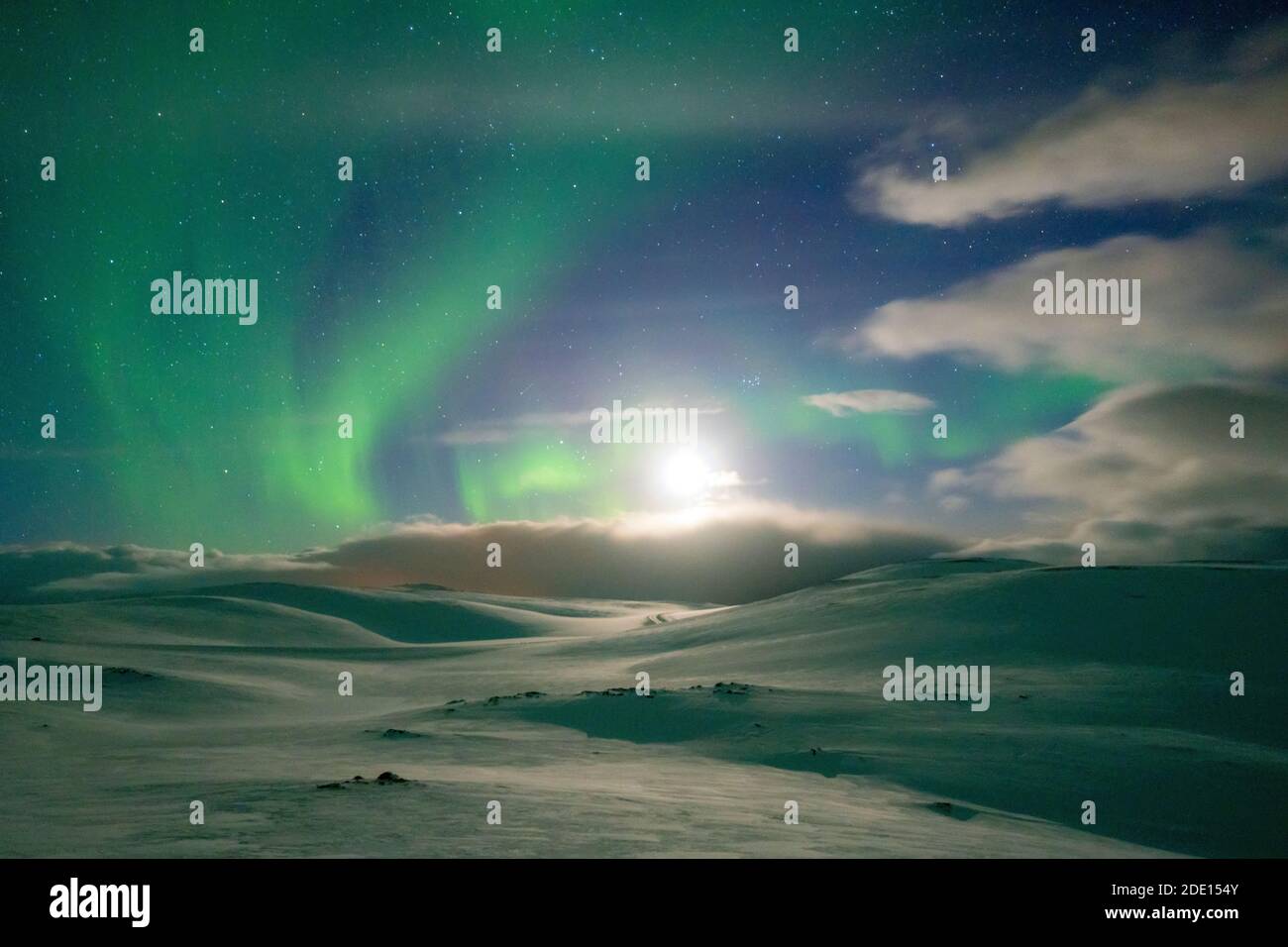 Snowy landscape lit by moon in the starry sky during the Northern Lights (Aurora Borealis), Skarsvag, Nordkapp, Troms og Finnmark, Norway Stock Photo