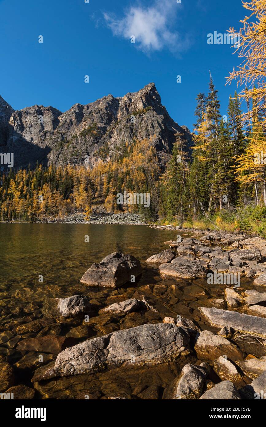 Arnica Lake in Autumn with Larch trees and Mountains, Banff National Park, UNESCO, Alberta, Canadian Rockies, Canada, North America Stock Photo
