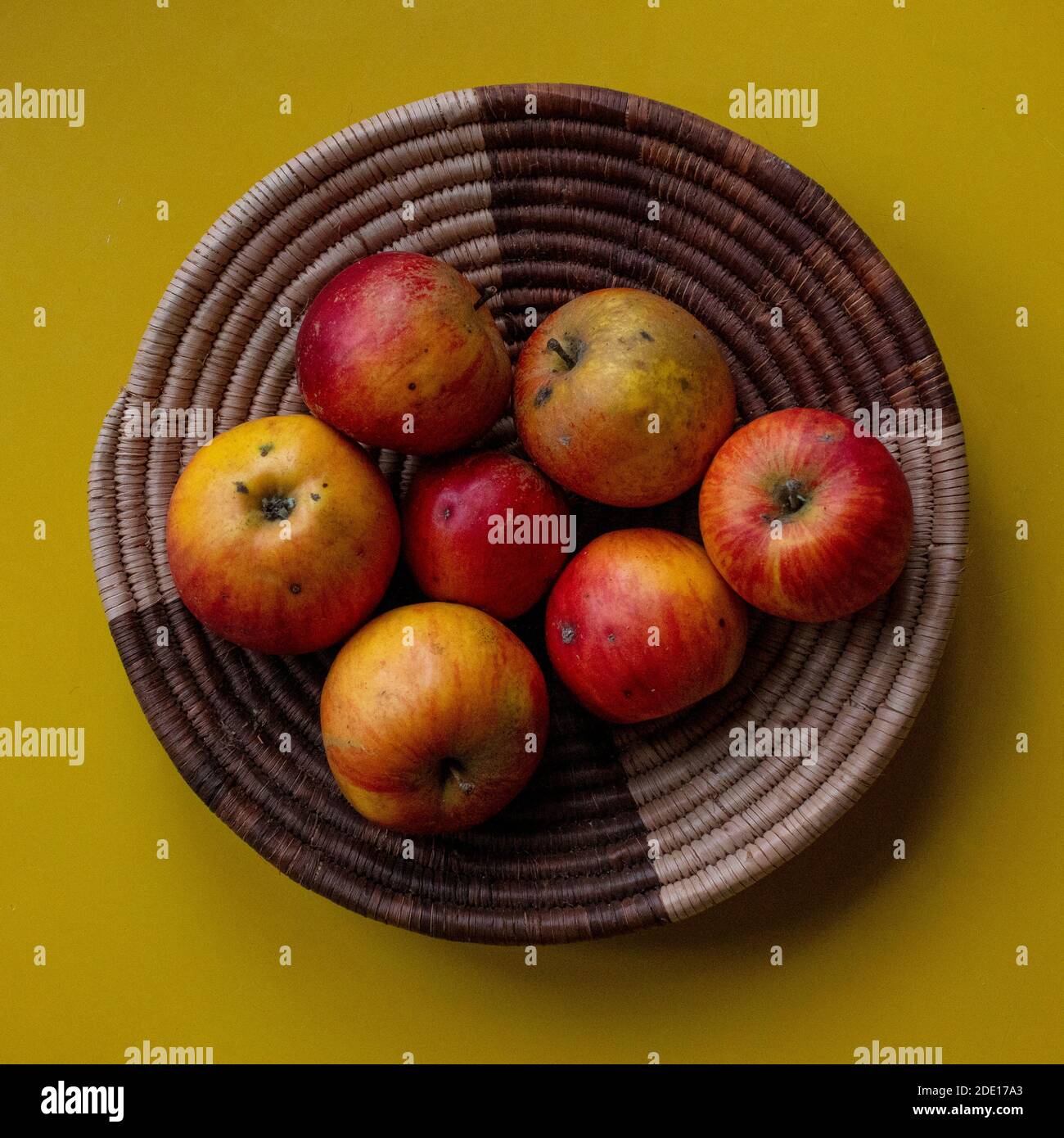 Margil apples in wicker basket first noted in Brompton Park Nursery in the 1750s Stock Photo Alamy