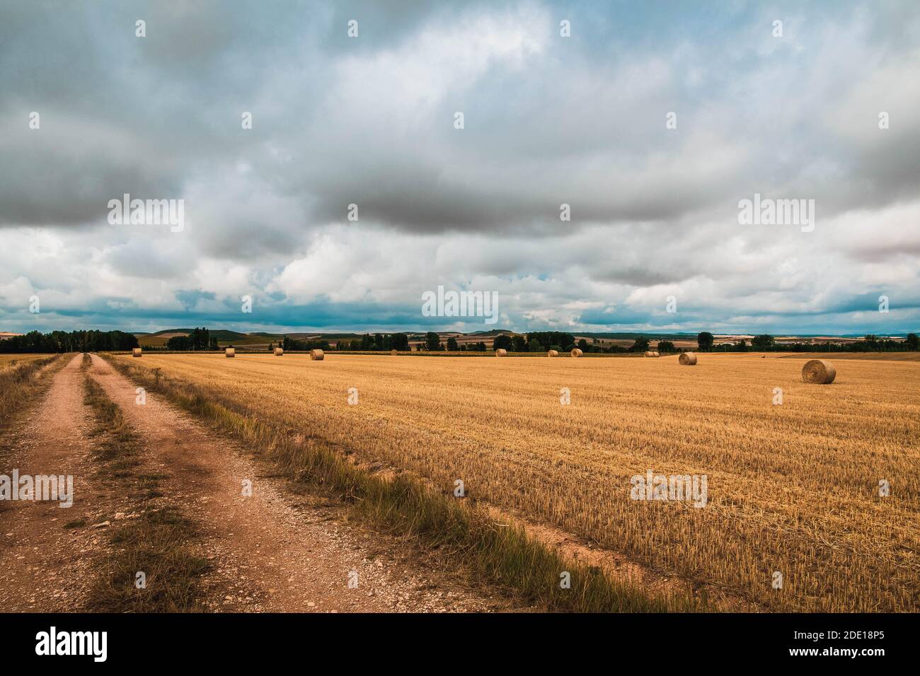 Hay rolls in the middle of the field with cloudy sky Stock Photo - Alamy
