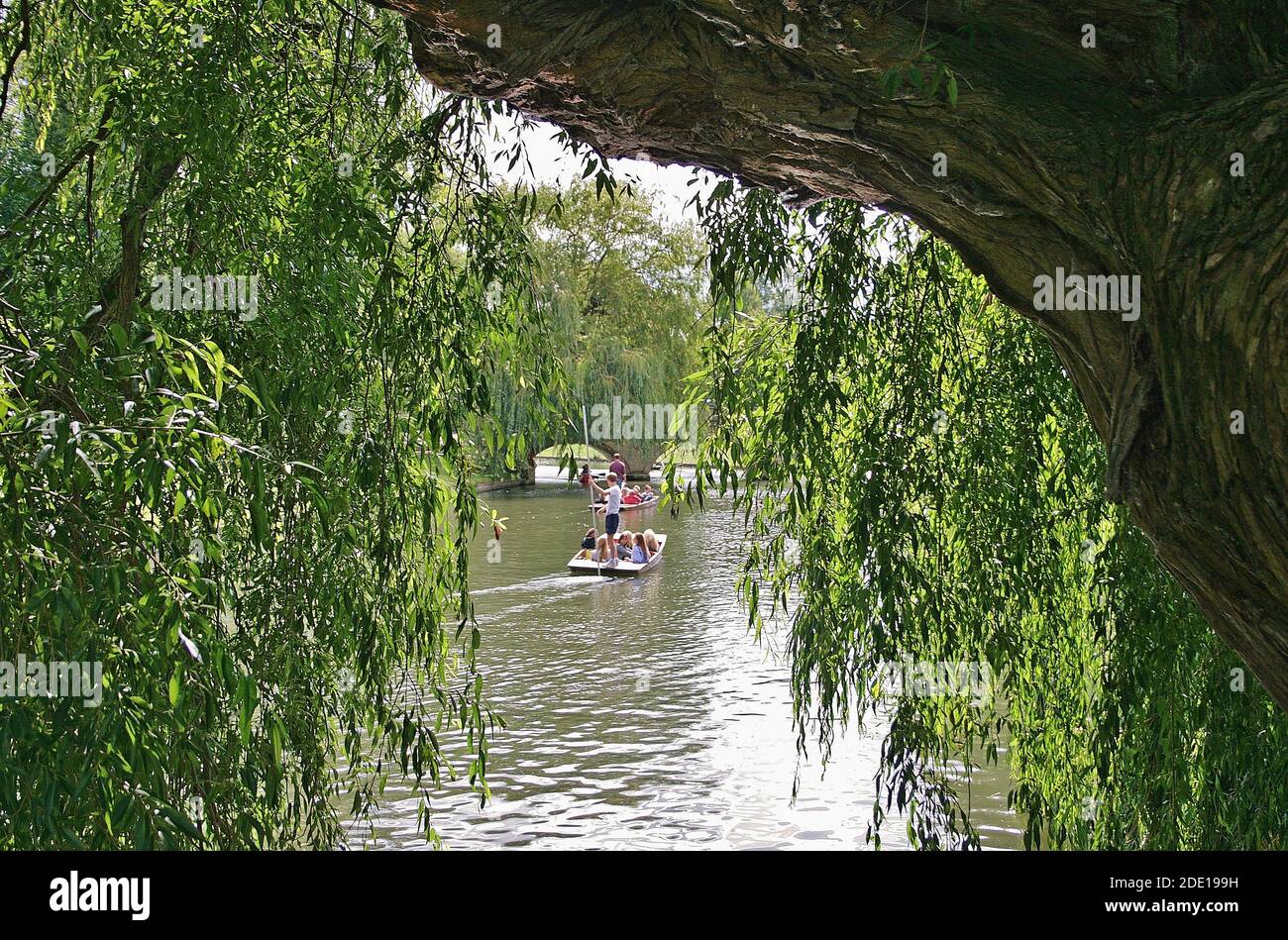 Boating on the river at Cambridge in England. Punting on the River Cam is a beautiful way to spend a summer afternoon in Cambridge. Stock Photo