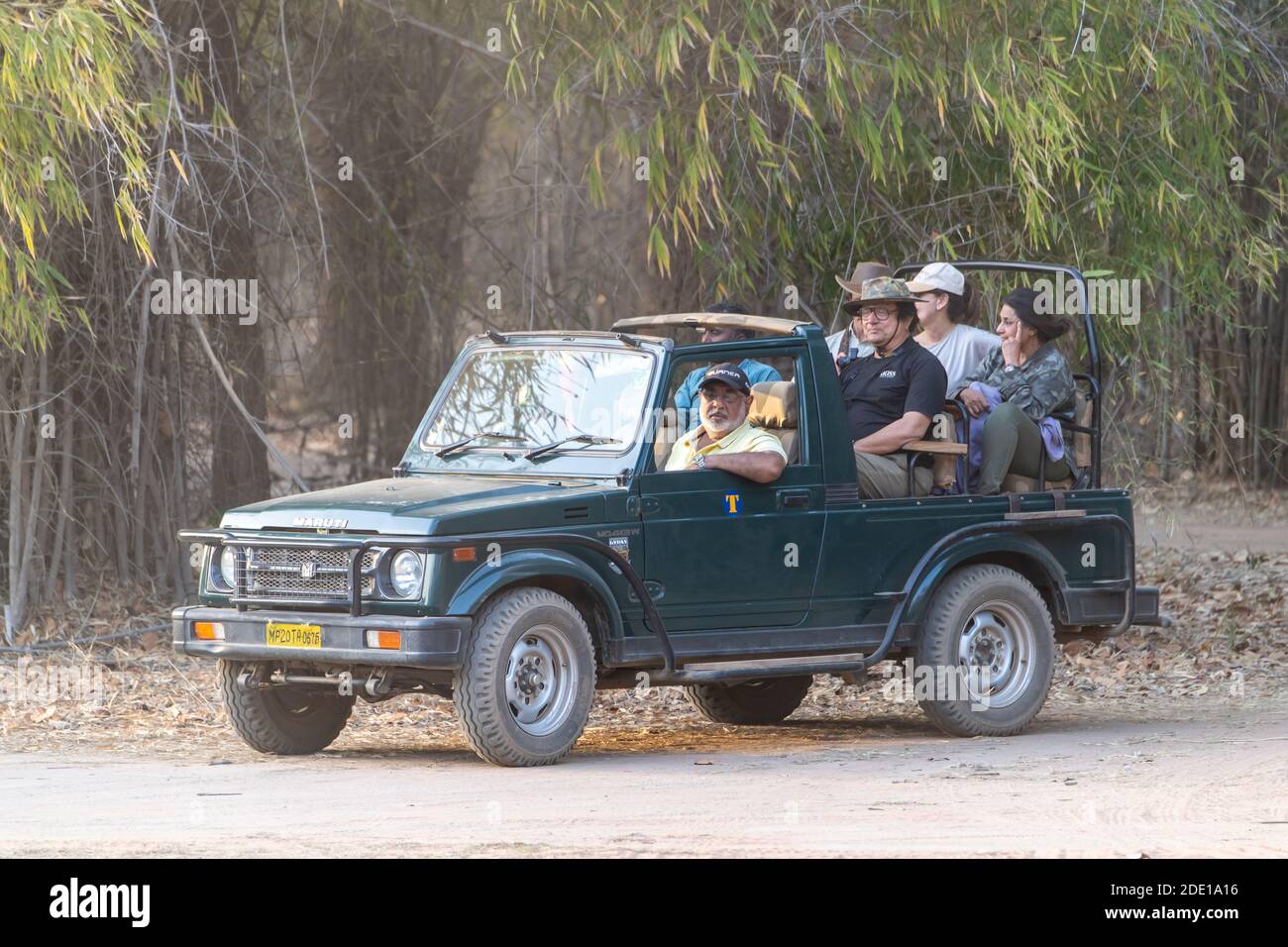 Wildlife safari jeep tours guests in Bandhavgarh National Park in India Stock Photo
