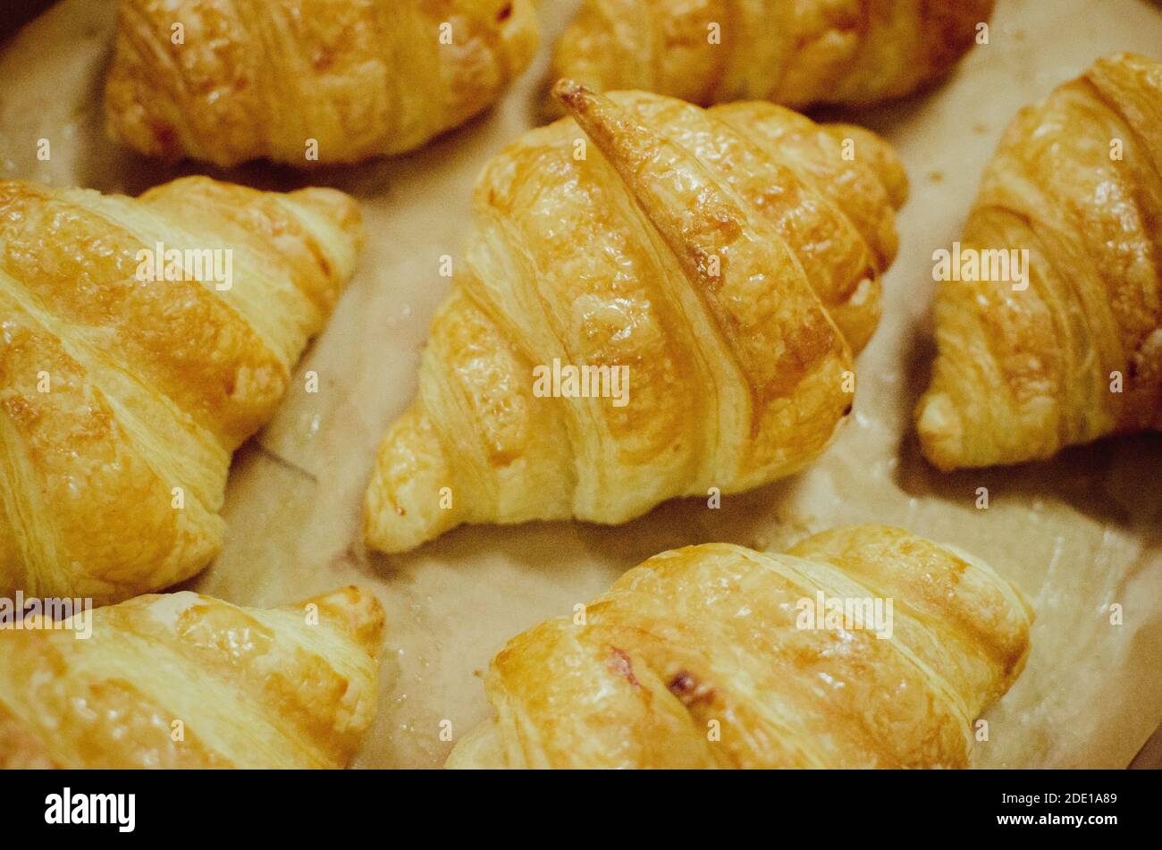 assorted croissant freshly baked from the oven Stock Photo