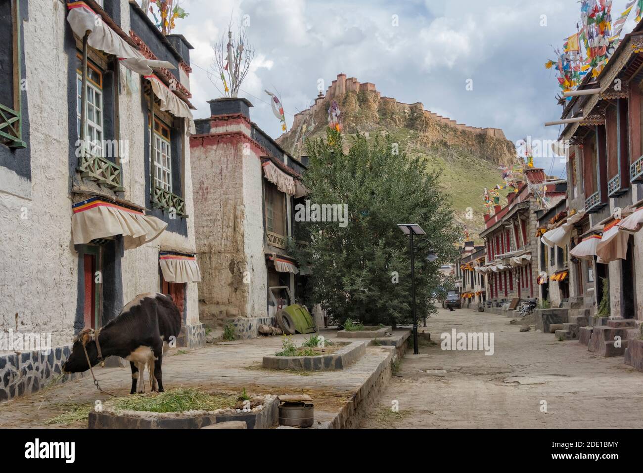 Tibet house hi-res stock photography and images - Alamy