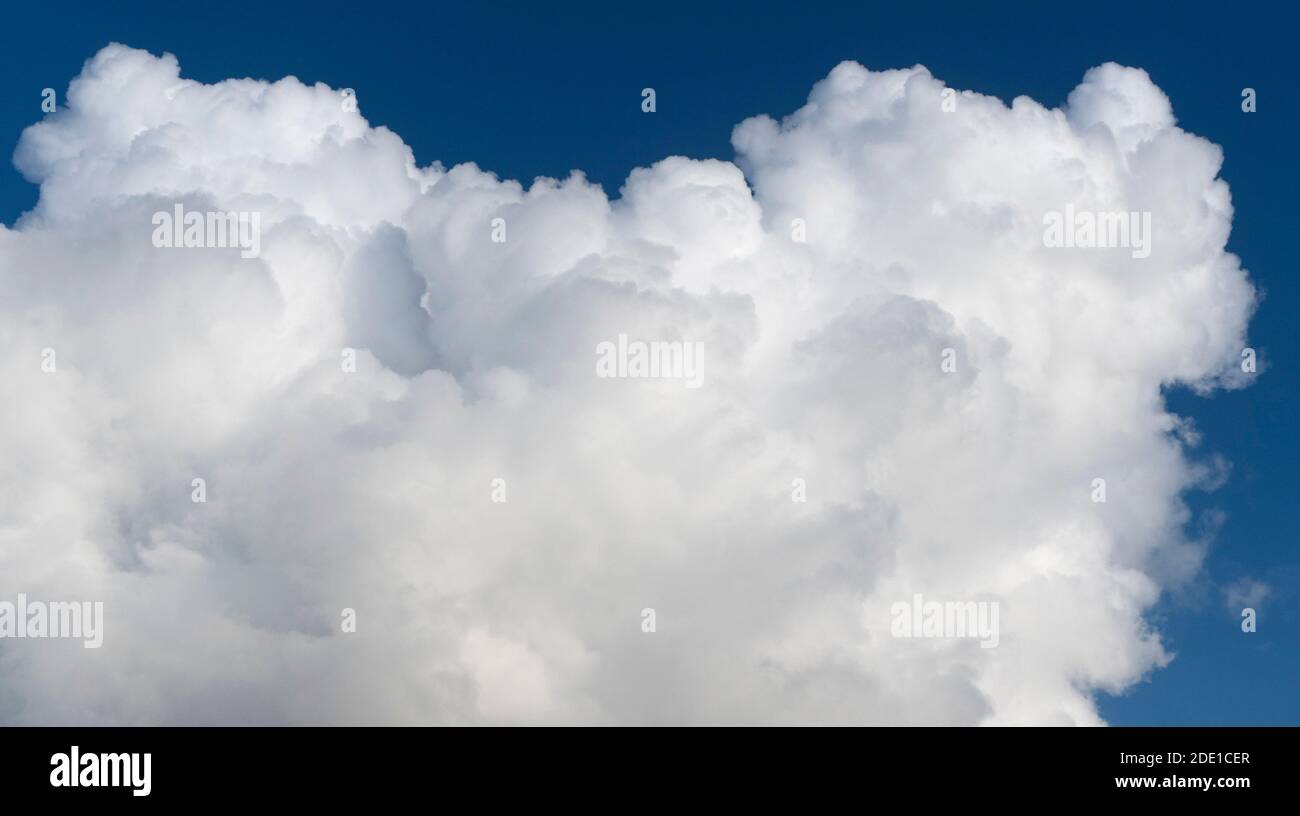 White fluffy cumulus cloud on a bright blue sky in sunny weather ...