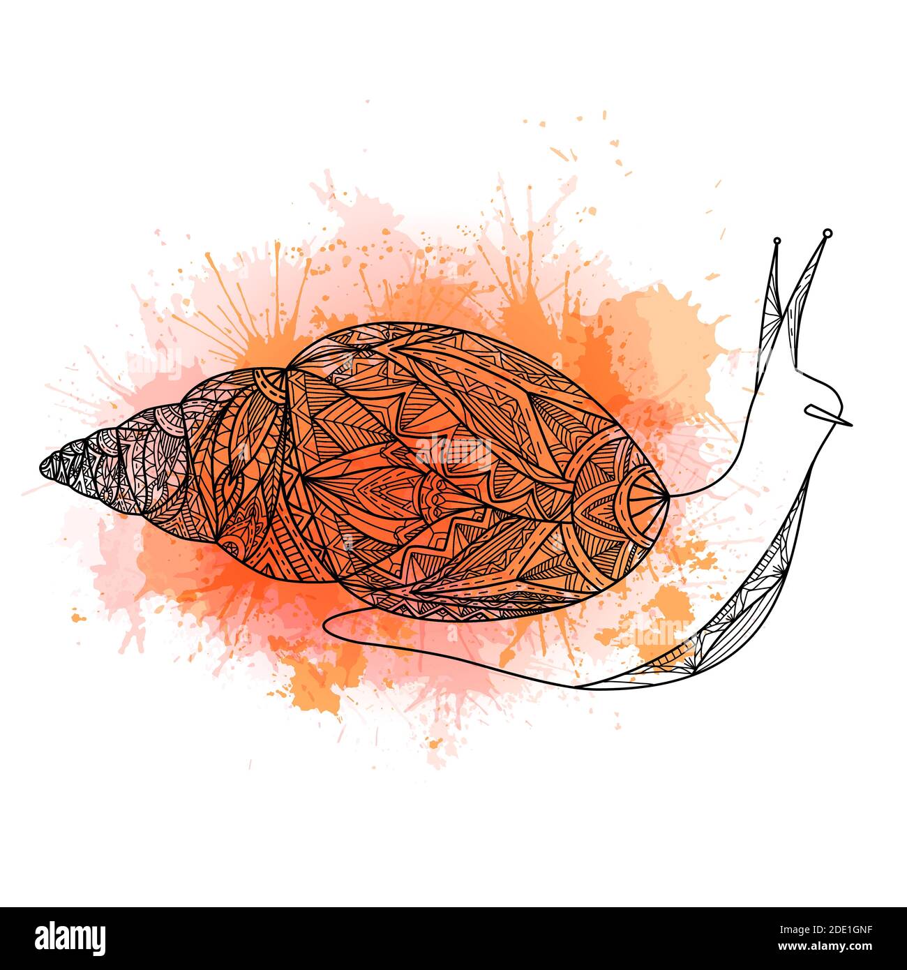 Contour illustration of a snail with boho pattern and red watercolor ...
