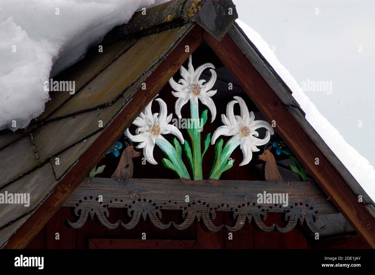 white Edelweiss symbol on a snow covered roof, a european mountain flower Stock Photo
