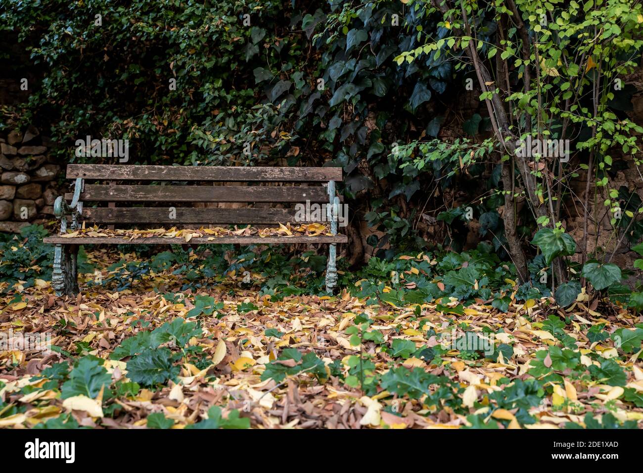 Empty wooden bench fallen hi-res stock photography and images - Alamy