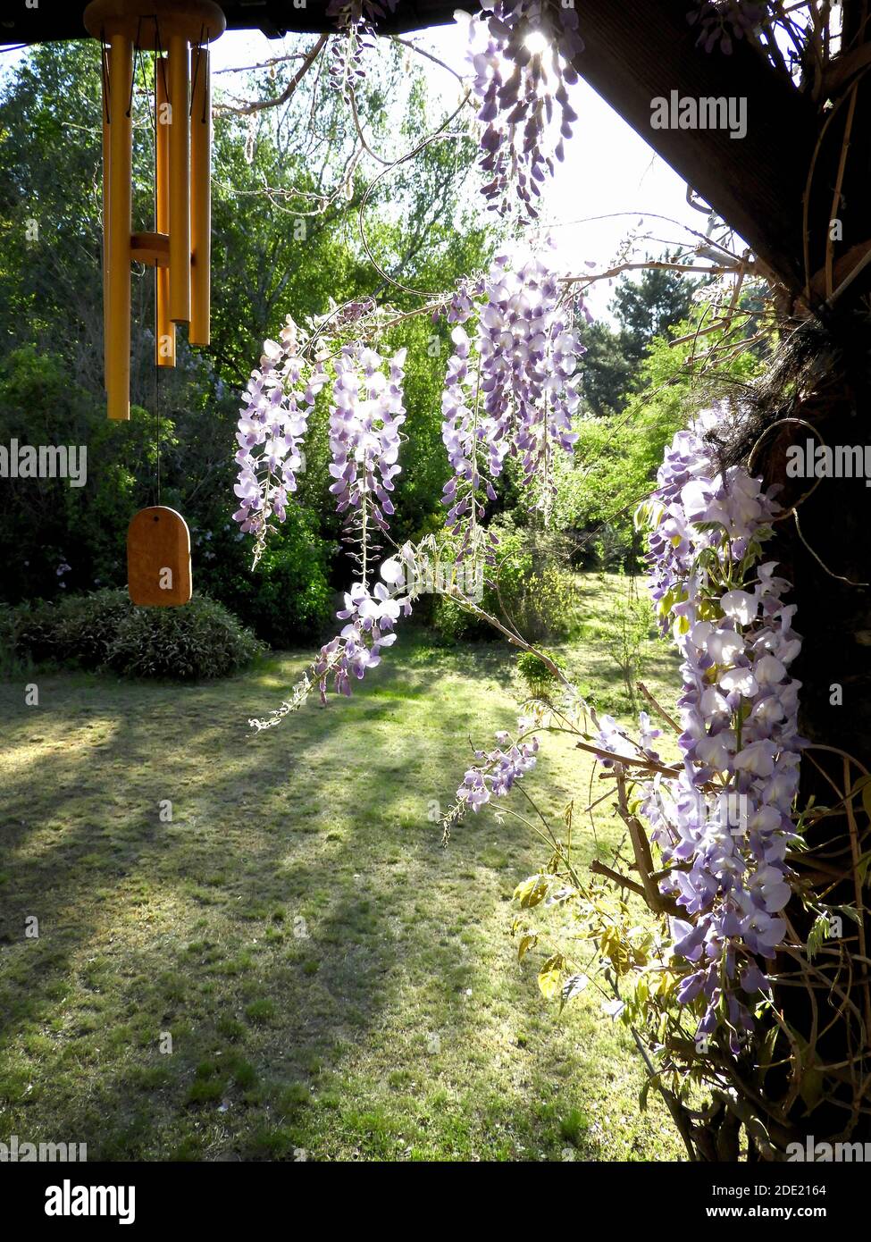 Wisteria and Windchime Stock Photo