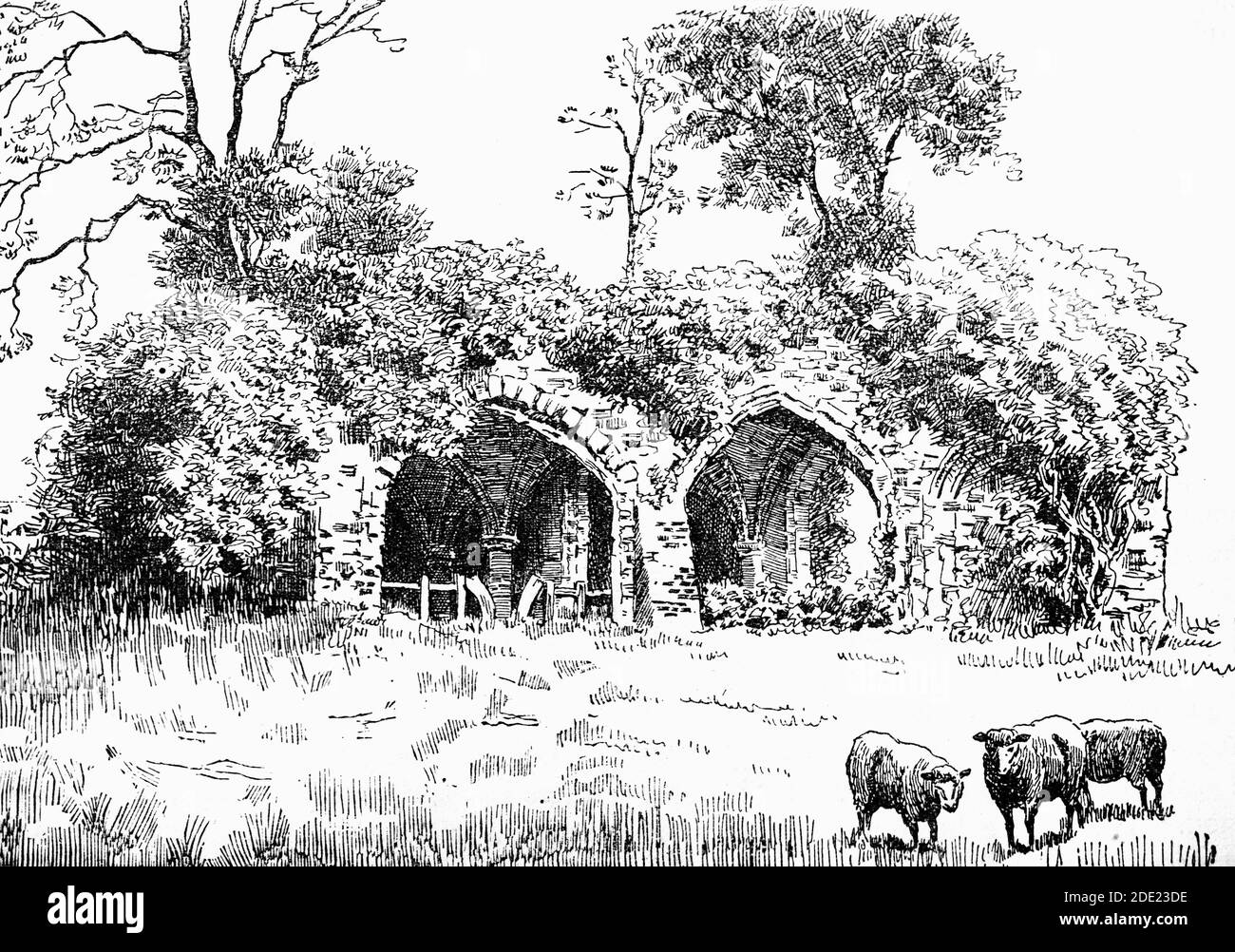 A 19th Century view of the ruined crypt of Waverley Abbey, founded in 1128 by William Giffard, the Bishop of Winchester it was the first Cistercian abbey in England.  Located on a flood-plain of the River Wey, near Farnham, Surrey, it was damaged on more than one occasion by severe flooding, resulting in rebuilding in the 13th century. The abbey was suppressed in 1536 as part of King Henry VIII's Dissolution of the Monasteries. Subsequently, largely demolished, its stone was reused in local buildings. Stock Photo