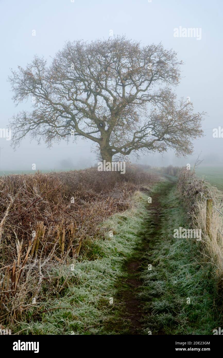 Frosty November Morning in Winterbourne, a south Gloucestershire village Stock Photo