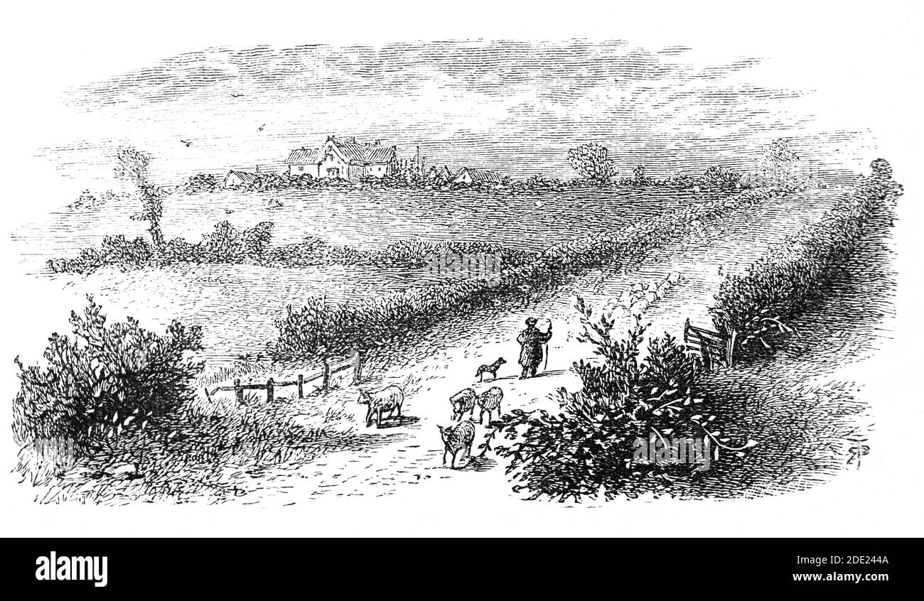 A 19th Century view of Sulby Hedges, Sibbertoft, set in the middle of the Northamptonshire countryside, commemorating the Battle of Naseby a decisive engagement of the First English Civil War, fought on 14 June 1645 between the victorious Parliamentarian New Model Army, commanded by Sir Thomas Fairfax and Oliver Cromwell and the  main Royalist army of King Charles I. With many sheep farmed in the area the hedge would have been robust and stock proof, preventing movement by men or horses, but giving no shelter from musket fire Stock Photo