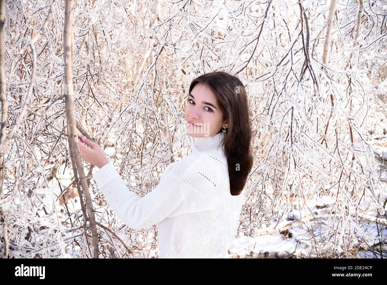 Portrait of young Russian woman in white sweater looking at camera next to frozen branches of birch trees, covered with ice. Winter forest in Russia Stock Photo