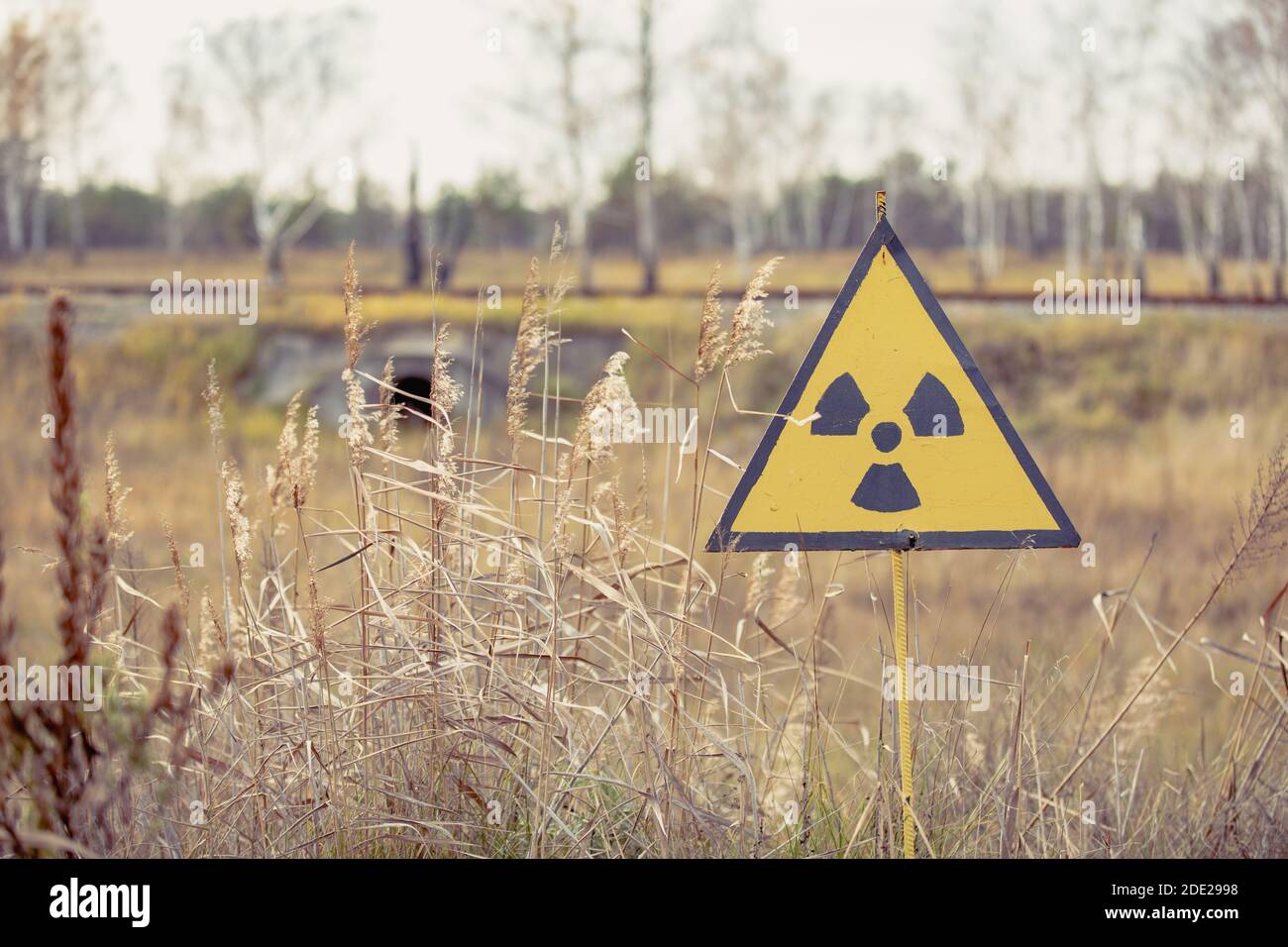 Ionizing Radiation sign next to Red Forest in Chernobyl Nuclear Power