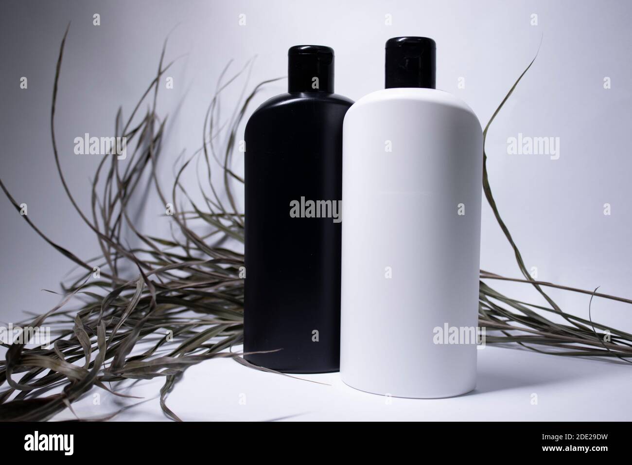 Composition of two white and black shampoo bottles with no label near dried  leaves. body care and beauty concept. Copy space. . High quality photo  Stock Photo - Alamy