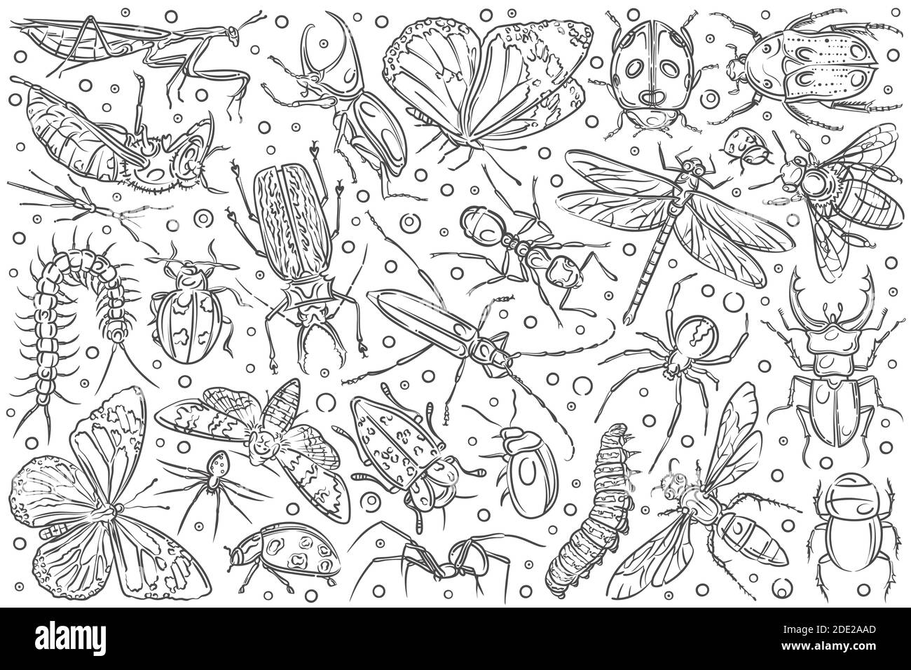 Hand drawn insects ant and butterfly. Stock Vector