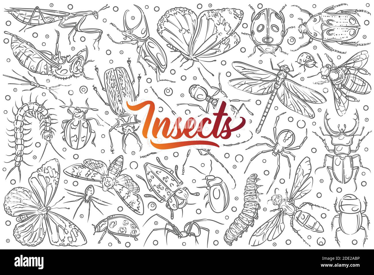 Hand drawn insects ant and butterfly. Stock Vector