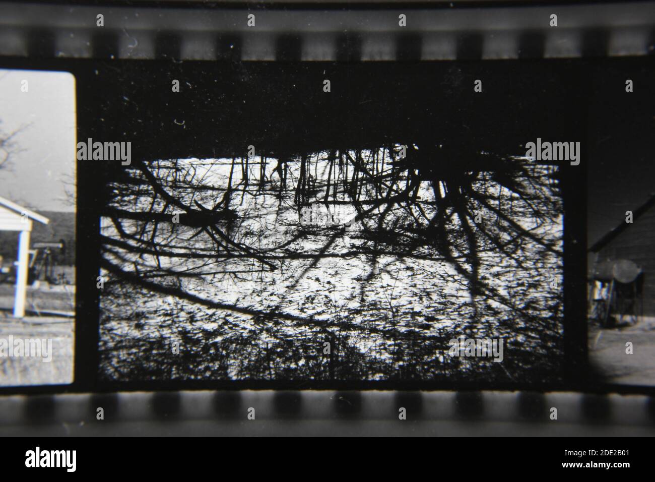 Fine 1970s vintage black and white photography of the natural beauty of ...