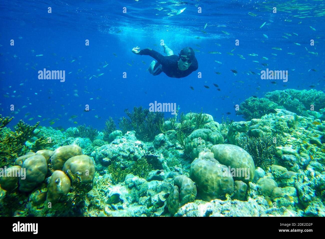 Snorkeling bali hires stock photography and images Alamy