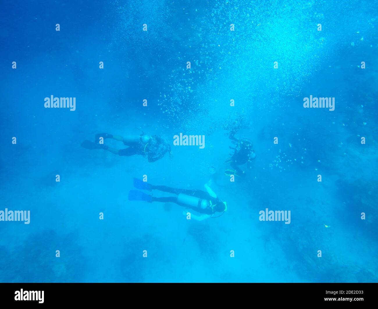 Scuba divers shore beach dive hi-res stock photography and images - Alamy