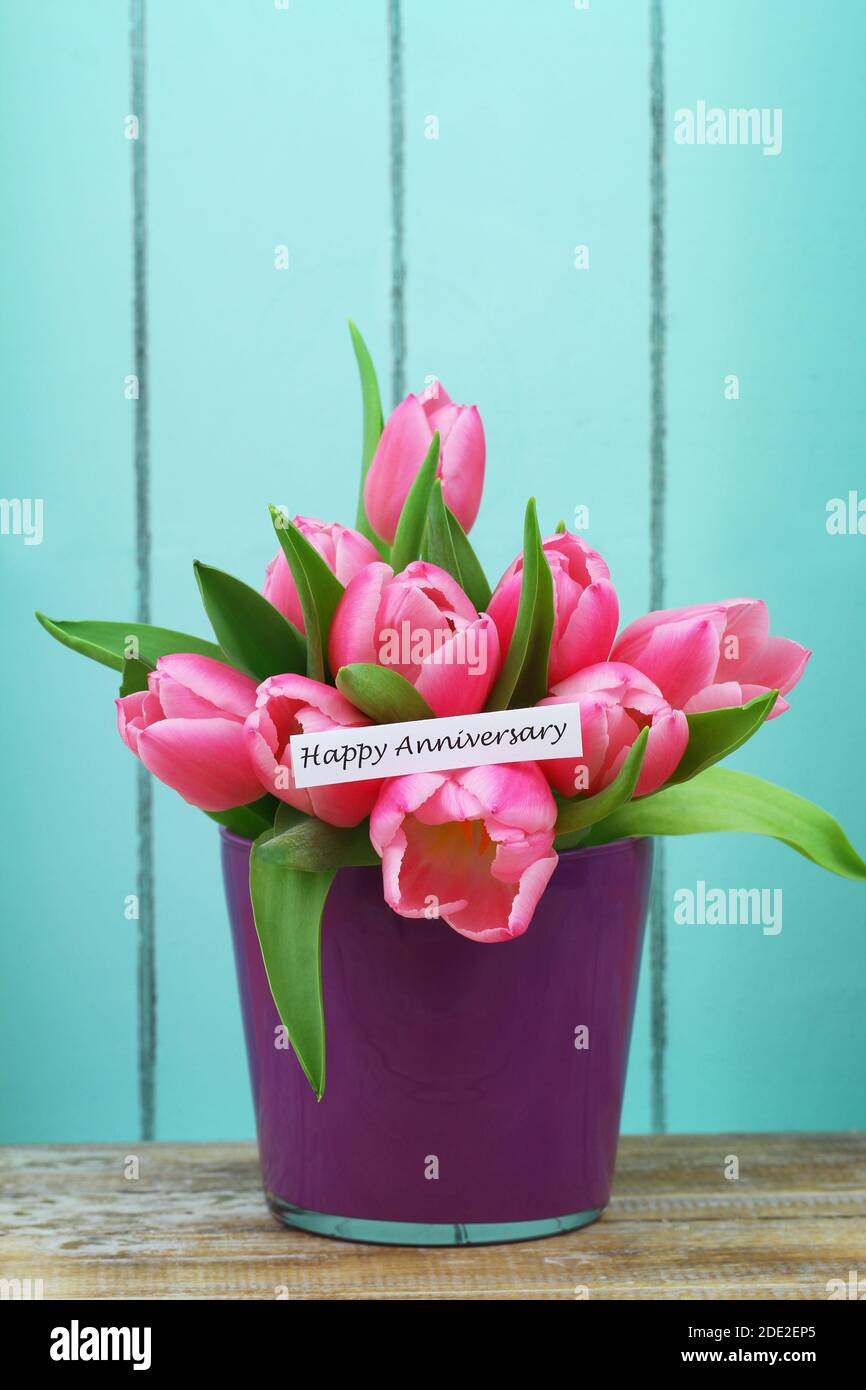 Happy Anniversary card with pink tulip bouquet in purple flower pot on ...