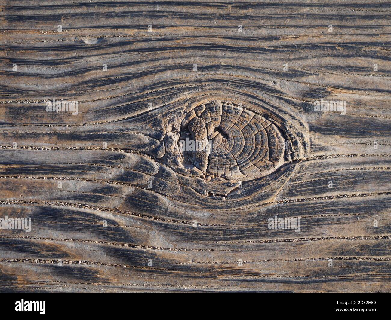 Driftwood texture, grain rough black dirty drift wooden background closeup Stock Photo