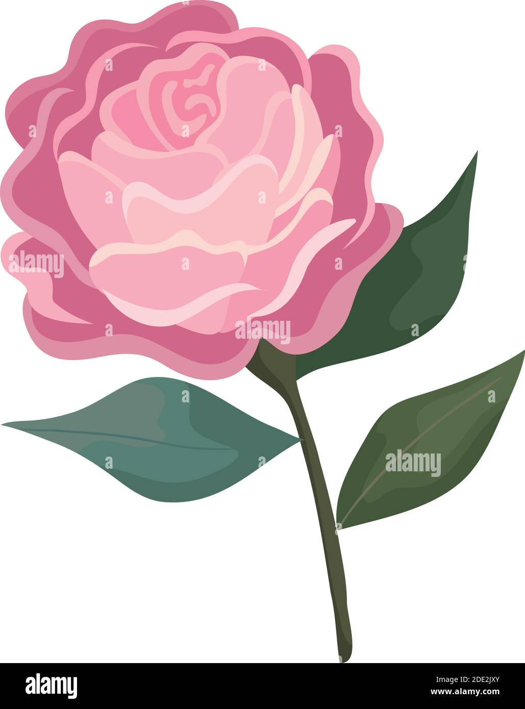 rose flower pink with leaves painting vector design Stock Vector Image ...