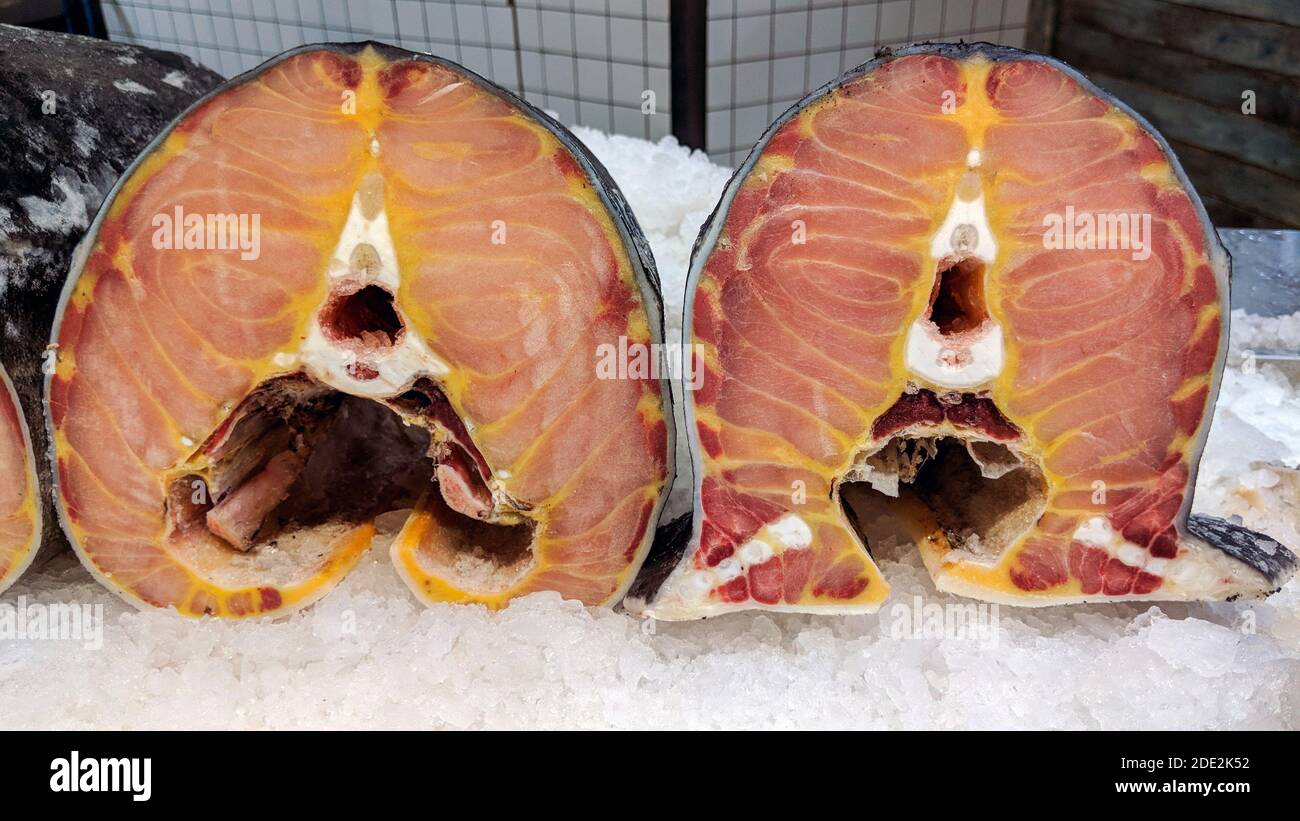 Cuts of Sturgeon Fish on ice in a fish market, with their typical pink-reddish meat and golden yellow fat. The roe of the sturgeon fish is the prized Stock Photo