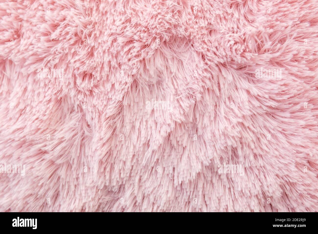 100+] Carpet Texture Pictures | Wallpapers.com