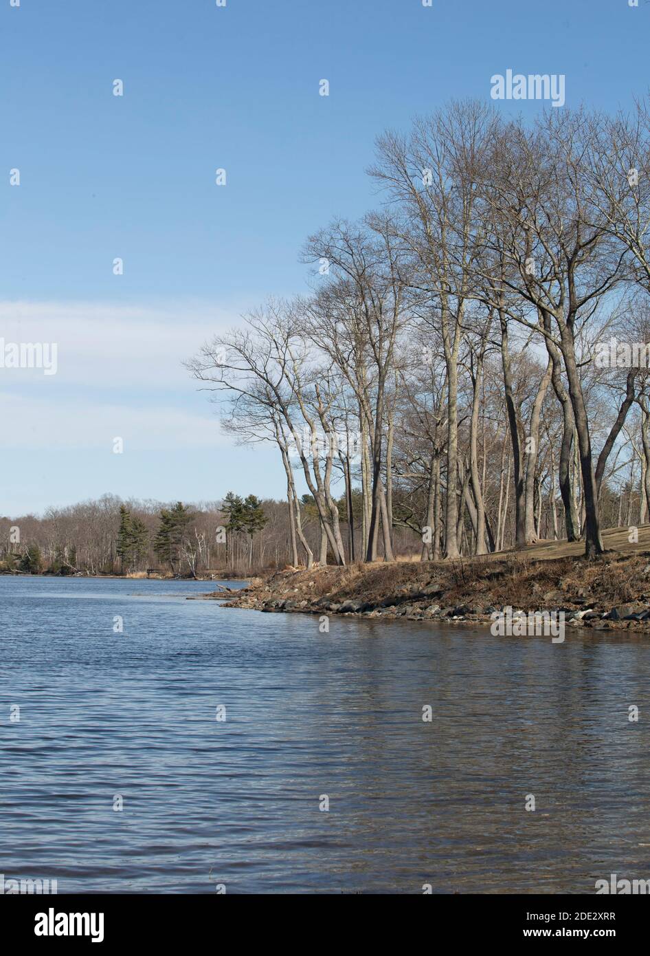 Great Bay is a tidal estuary in southeastern NH. It covers
