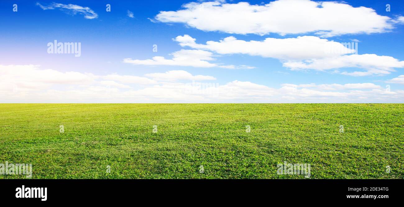 field green grass blue sky with cloud cloudy landscape background Stock ...